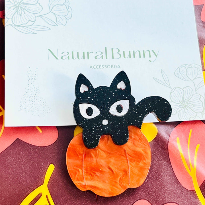 Black Cat In Pumpkin Brooch