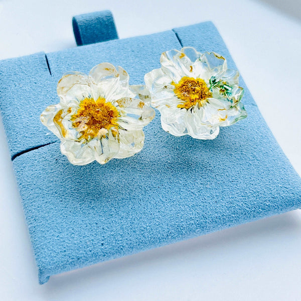 Dried White Daisy flower Stud Earrings